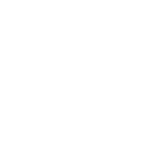 e1yze